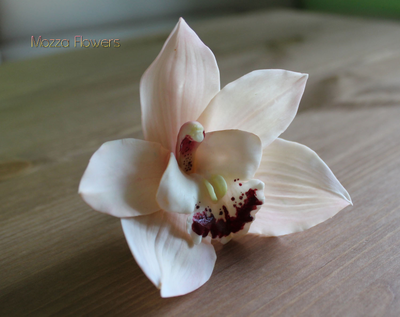 Орхидея Цимбидиум .