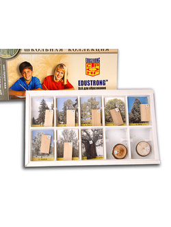 Коллекция "Древесные растения и их распространение" (раздаточная)