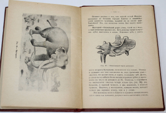 Лункевич В. Подземный мир. Л.: `Начатки знаний`, 1928.