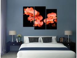 Модульная картина "Ночные цветы. Орхидея"