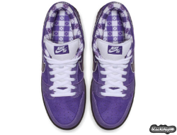 Nike SB Dunk Low Purple (40-45)