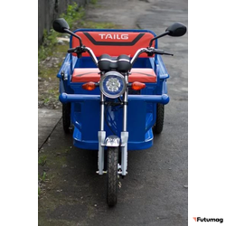 Грузовой электротрицикл TaiLG TL650