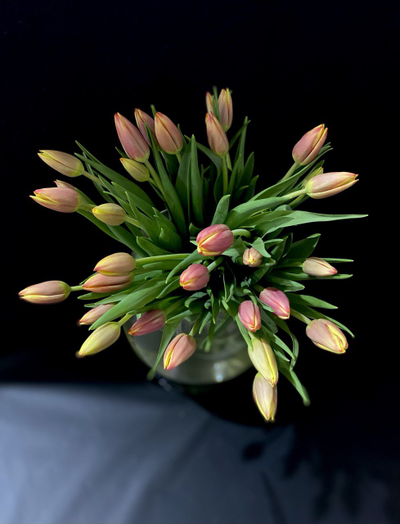 Тюльпаны  31 шт