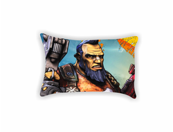 Подушки Borderlands, Бордерленд №8