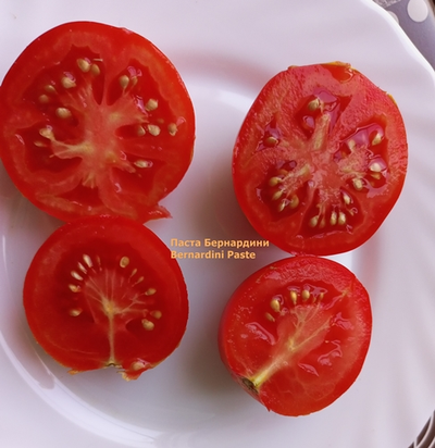 Томат Паста Бернардини (Pasta Bernardini)