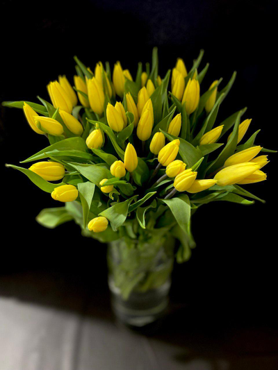 Тюльпаны 51 шт