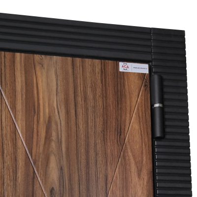 Стальная дверь   Сапсан (биометрический замок Smart lock DZ 888)