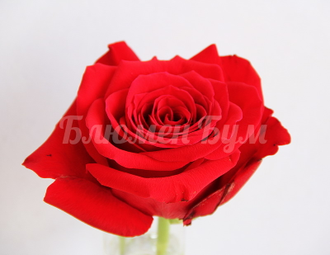 "Единственная" - композиция в форме валентинки из 45 роз.