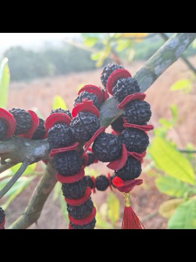 Четки Premium quality из натуральной крупной Рудракши 108 бусин черные