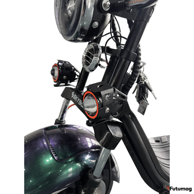 Электроскутер Skyboard Ural 2WD