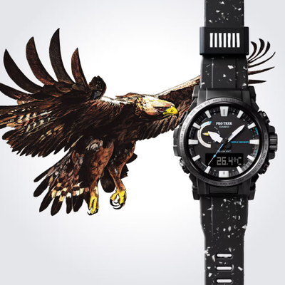 Часы Casio Pro Trek PRW-61NJ-1