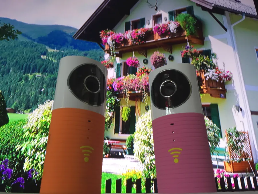 Клевер дог - видеоняня, wifi видеоняня клевердог, купить видеоняню клевердог, cleverDog wifi camera