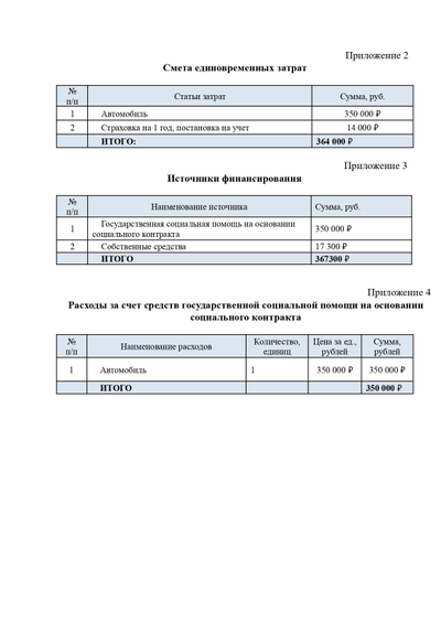 Индивидуальный бизнес-план для соцконтракта