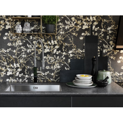 Мойка Franke BOX BXX 210-68