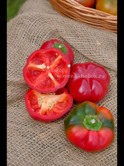 Перец сладкий Александр, 10 шт