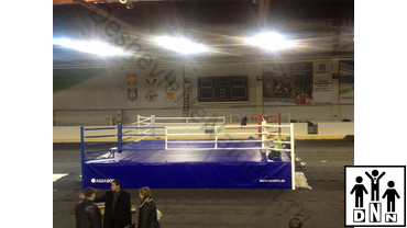 боксерский ринг производитель