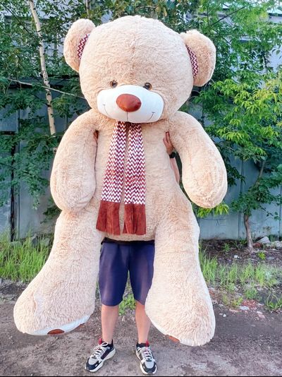 Гигантский плюшевый медведь 280 см кремовый Михель