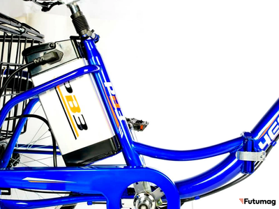 Электровелосипед трицикл РВЗ Чемпион (RVZ-HZ-01) черный