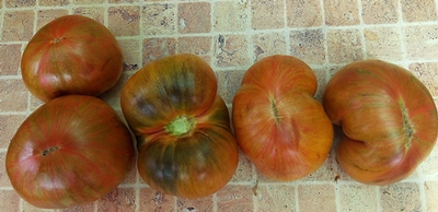 Томат Кровавая Луна (Blood Moon, США)