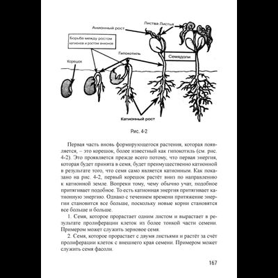Риэмс и Джадам. Эффективные технологии плодородия. В 2-х томах. Том 1. Сост. и перевод с англ. Елена Кулагина.