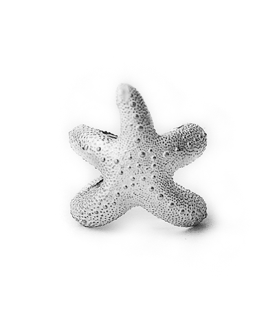Кольцо Морская звезда AQUA Collection