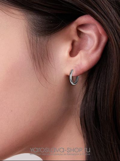 АЛ-236.  Серьги кольца сталь.