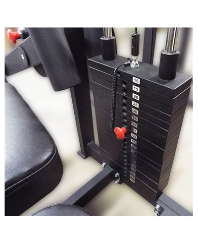 Сгибание ног лежа 100 кг AV214/80