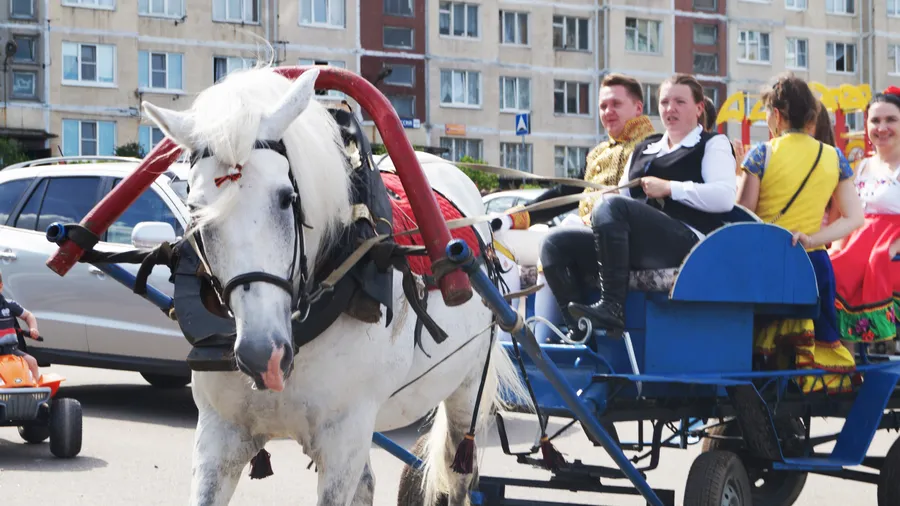 Выход ведущего День Поселения Пеники