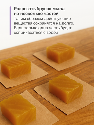 Живой шампунь дикий лук 90 гр.