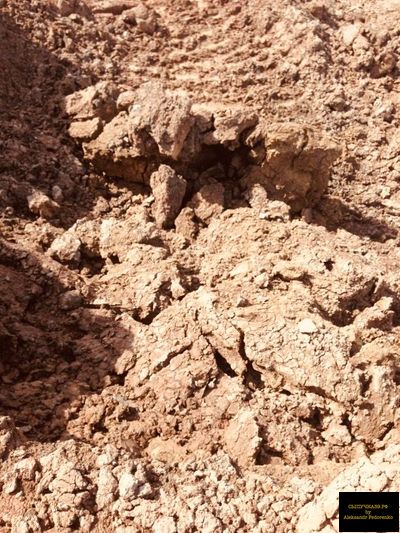 красная глина