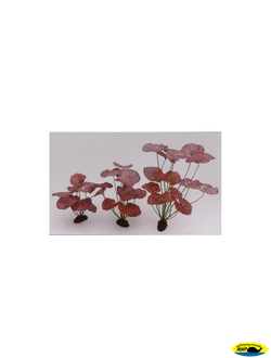 81040R-30 Растение шелк. Нимфея краповое 20см