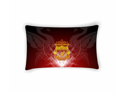 Подушка горизонтальная Ливерпуль, Liverpool FC №2