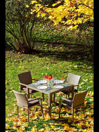 Обеденный комплект Rome с креслами