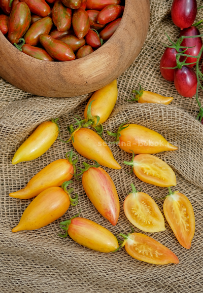 Томат Sweet Cream (Сладкий Крем), 10 шт