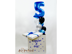 Коробка сюрприз №8