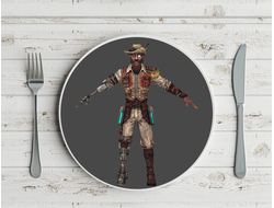 Тарелка Borderlands, Бордерленд №13