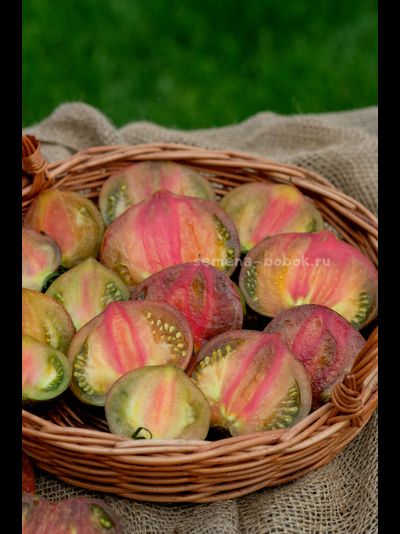 Томат Триумф Софии, 10 шт