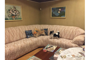 ЧЕХОЛ НА УГЛОВОЙ ДИВАН ВИСТА ЭЛЕГАНТ КРЕМ