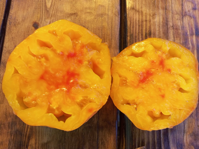 Томат Холли 12 (Holly’s 12)