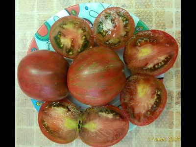 Томат Хлоя (Chloe) США