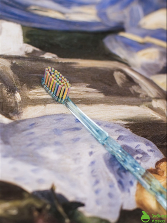 ЗУБНЫЕ КИСТИ MONTCAROTTE EDUARD MANET TOOTHBRUSH