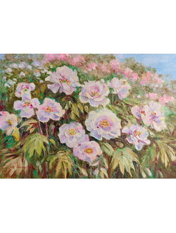 Древовидный пион