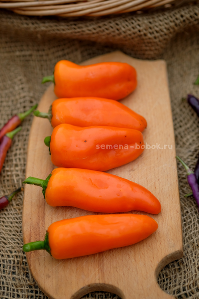 Перец сладкий Апельсин, 10 шт