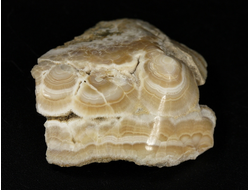 Арагонит, почковидные агрегаты, полировка, Россия, КЧР, Урупский район (37*36*11 мм, 16 г) №37737