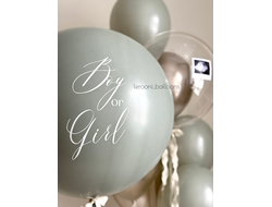 Комплект на гендер-пати №6