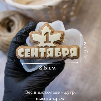 Форма для шоколада надпись "1 Сентября"