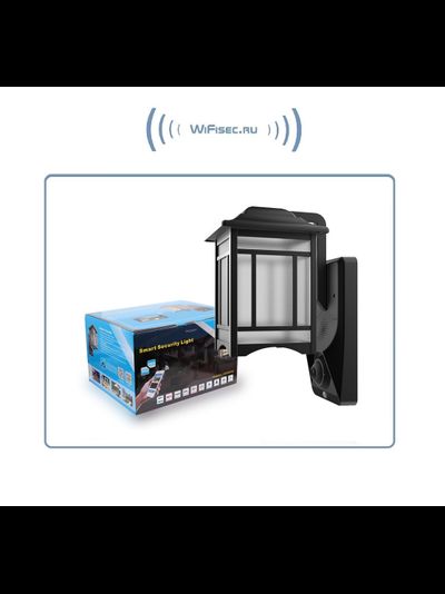 Уличная WiFi/LAN охранная видеокамера + фонарь с аудио каналом (дуплекс), с DVR. Full HD (Homsca Light)