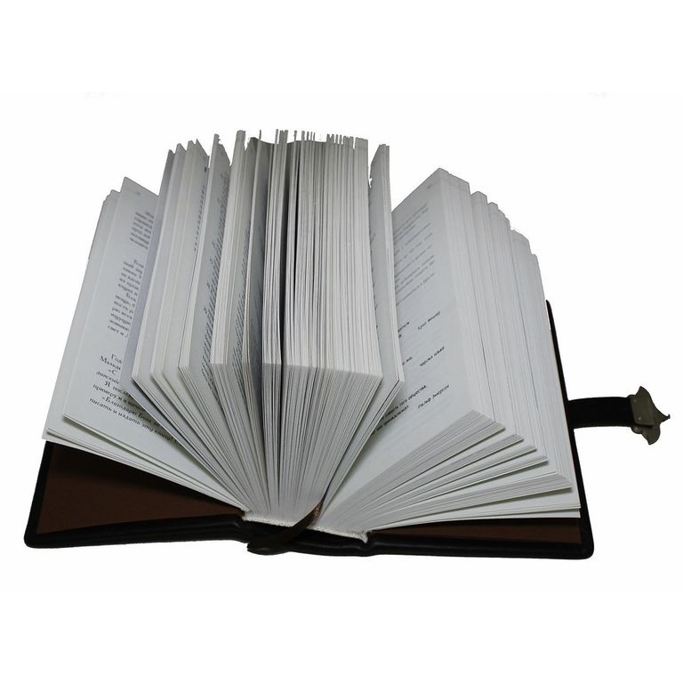 Сокровища Мировой Мудрости Книга Жалевич Купить