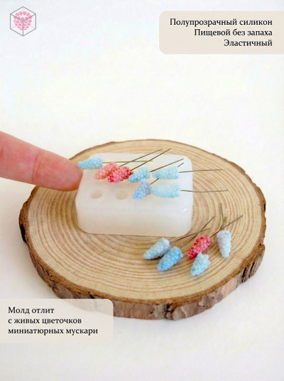 Молд "Мини мускари"