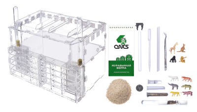 Формикарий 4ants Crystal XL pro + колония Messor Structor